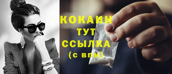 PSILOCYBIN Аркадак