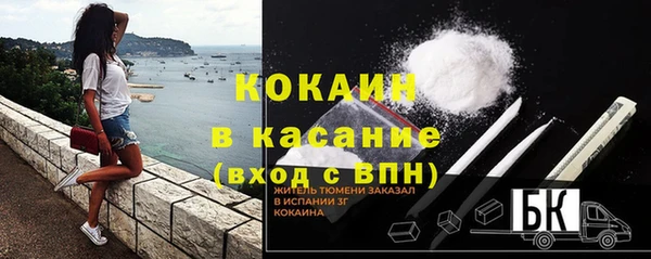 PSILOCYBIN Аркадак