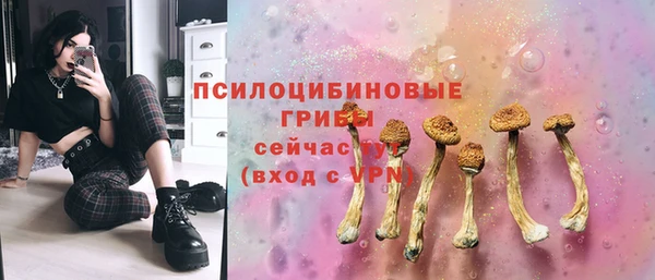 соль ск Армянск